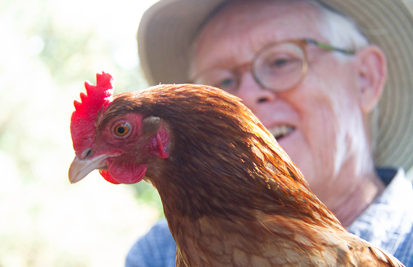 Man with chicken at Bellevue Farm